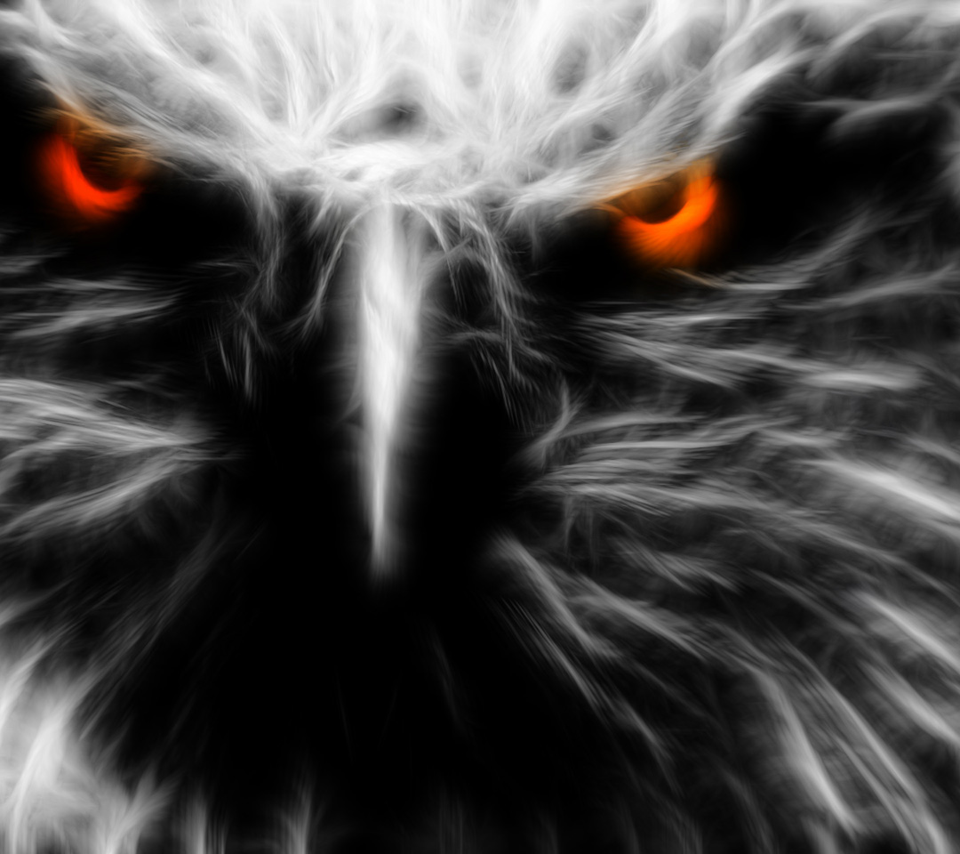 Eagle 3d - HD Wallpaper 