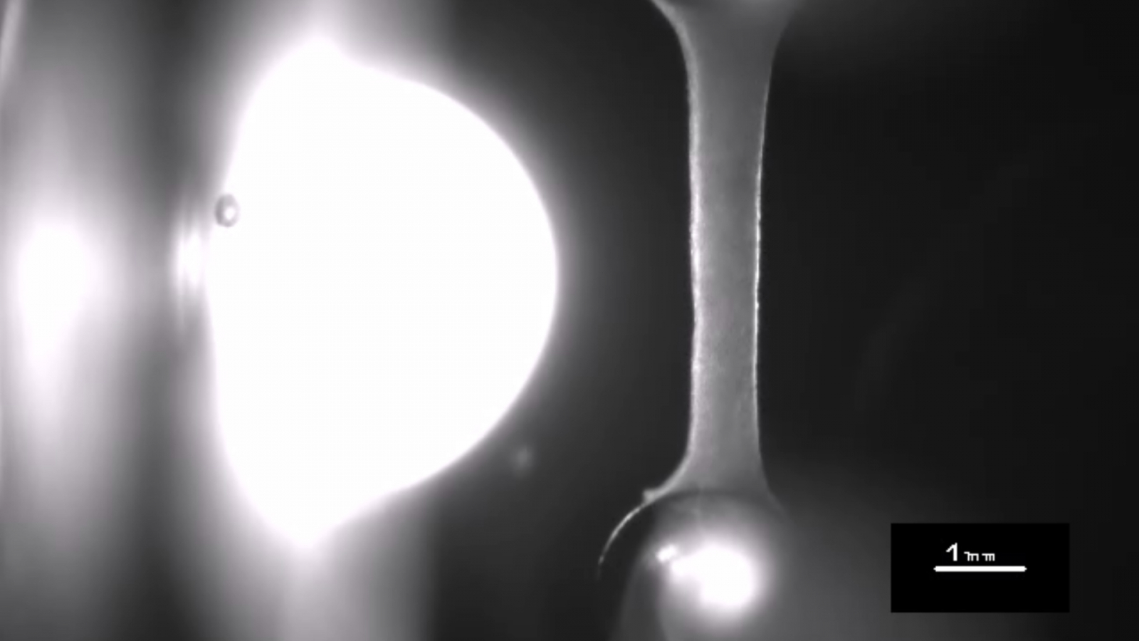 Still Life Photography - HD Wallpaper 