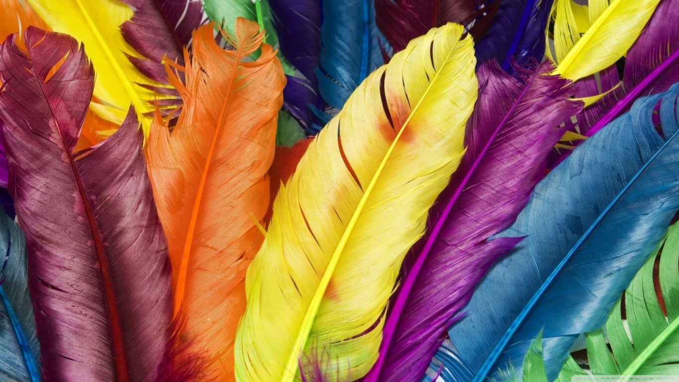 Feathers Colorful - HD Wallpaper 
