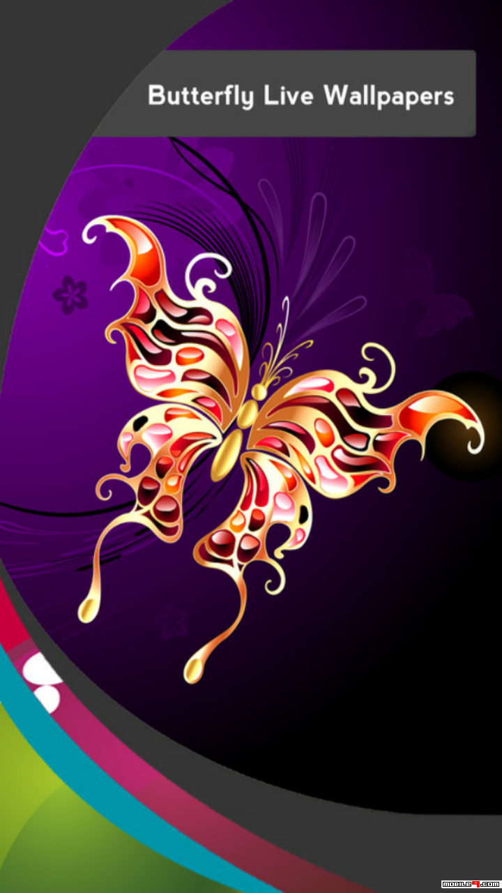 Mariposas De Fondos De Pantalla - HD Wallpaper 