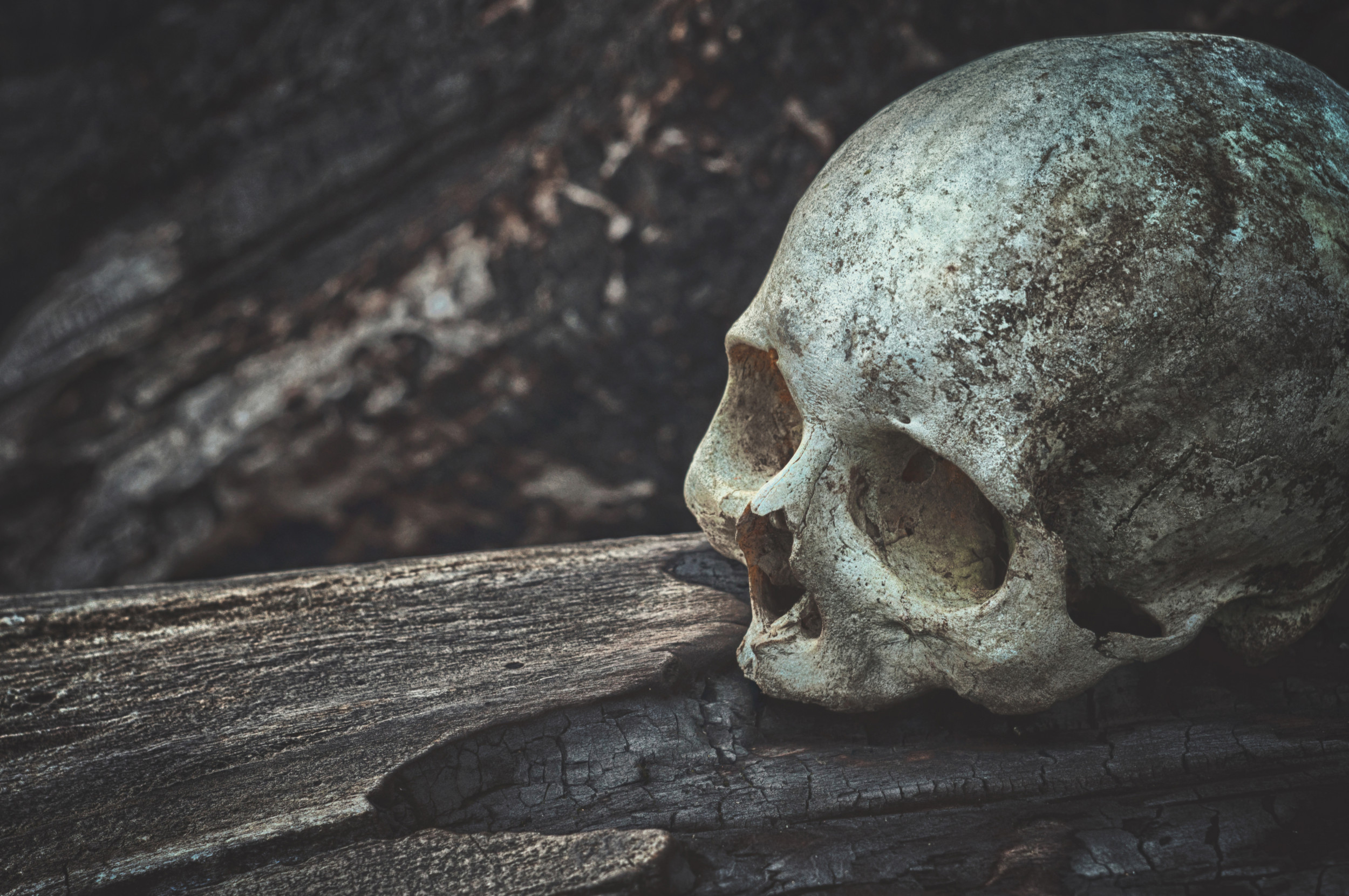 Skull, Canada - Depressed Skull - HD Wallpaper 