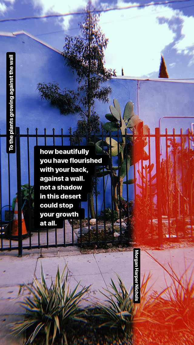 Diy Live Wallpaper 640x1136 Wallpaper teahub.io