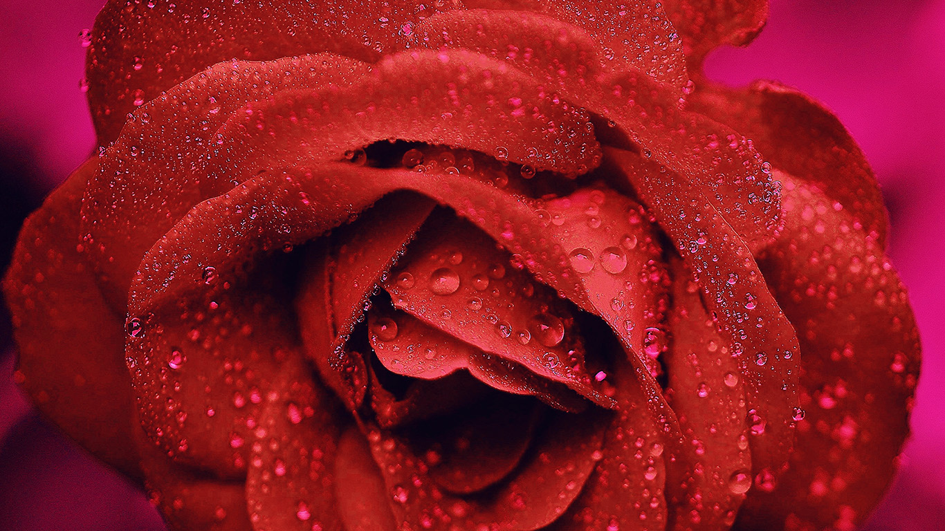 Dark Rain - HD Wallpaper 