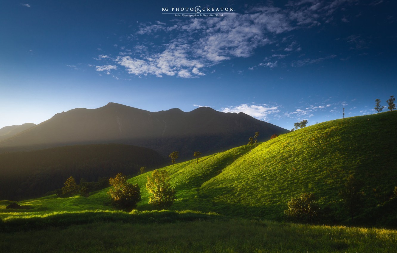 Photo Wallpaper The Sky, Trees, Nature, Dawn, Hills - Summit - HD Wallpaper 