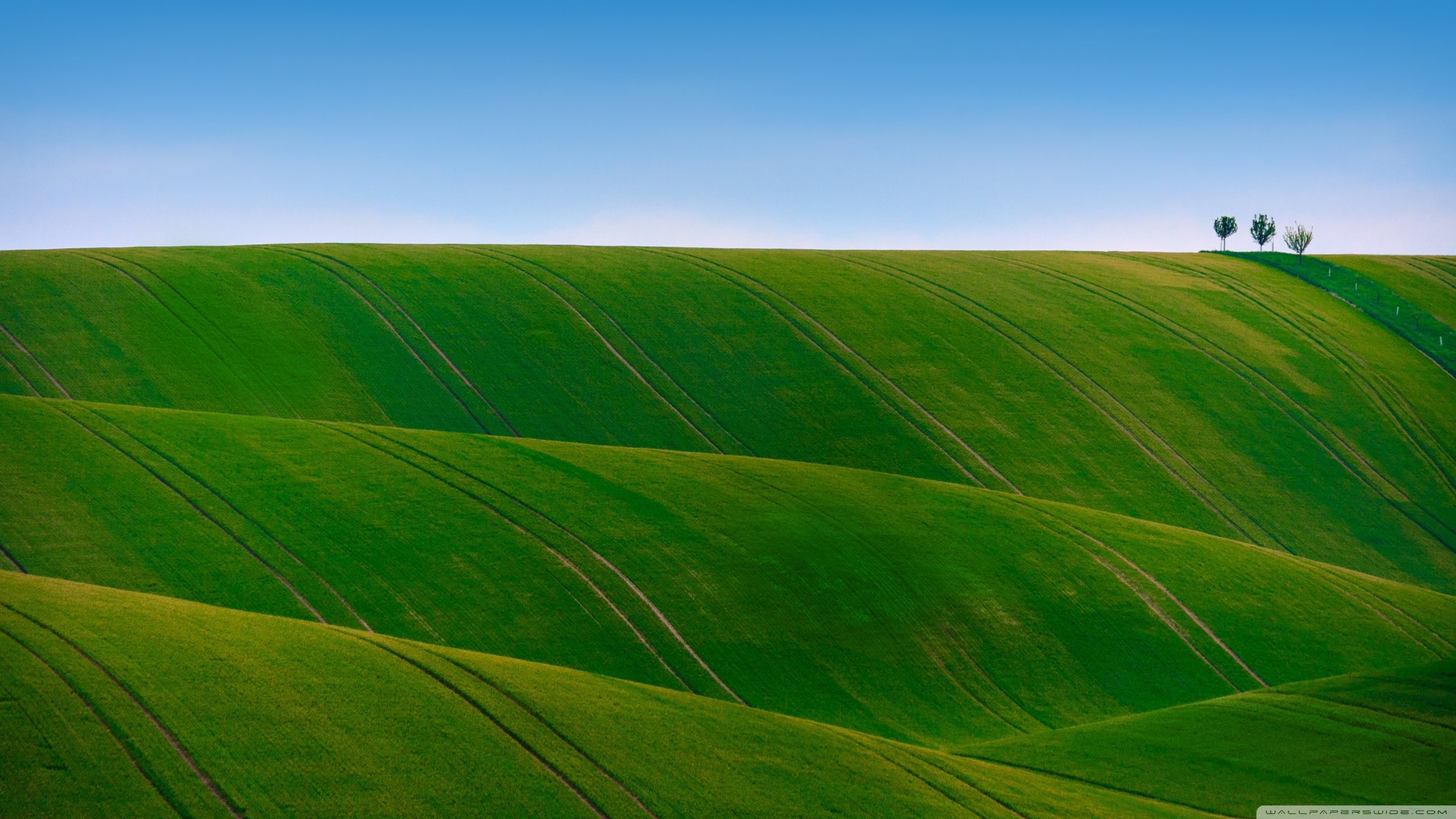 1440p - HD Wallpaper 