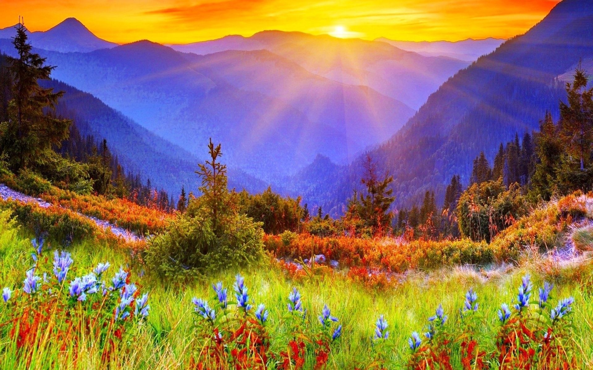Spectacular Mountain Beautiful - Nature Sun Rise Background - 1920x1200  Wallpaper 