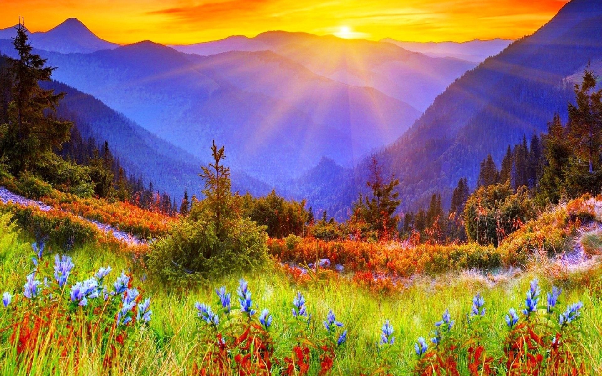 Spectacular Mountain Beautiful - Nature Sun Rise Background - 1920x1200 Wallpaper Spectacular Mountain Beautiful - Nature Sun Rise Background - 1920x1200 Wallpaper