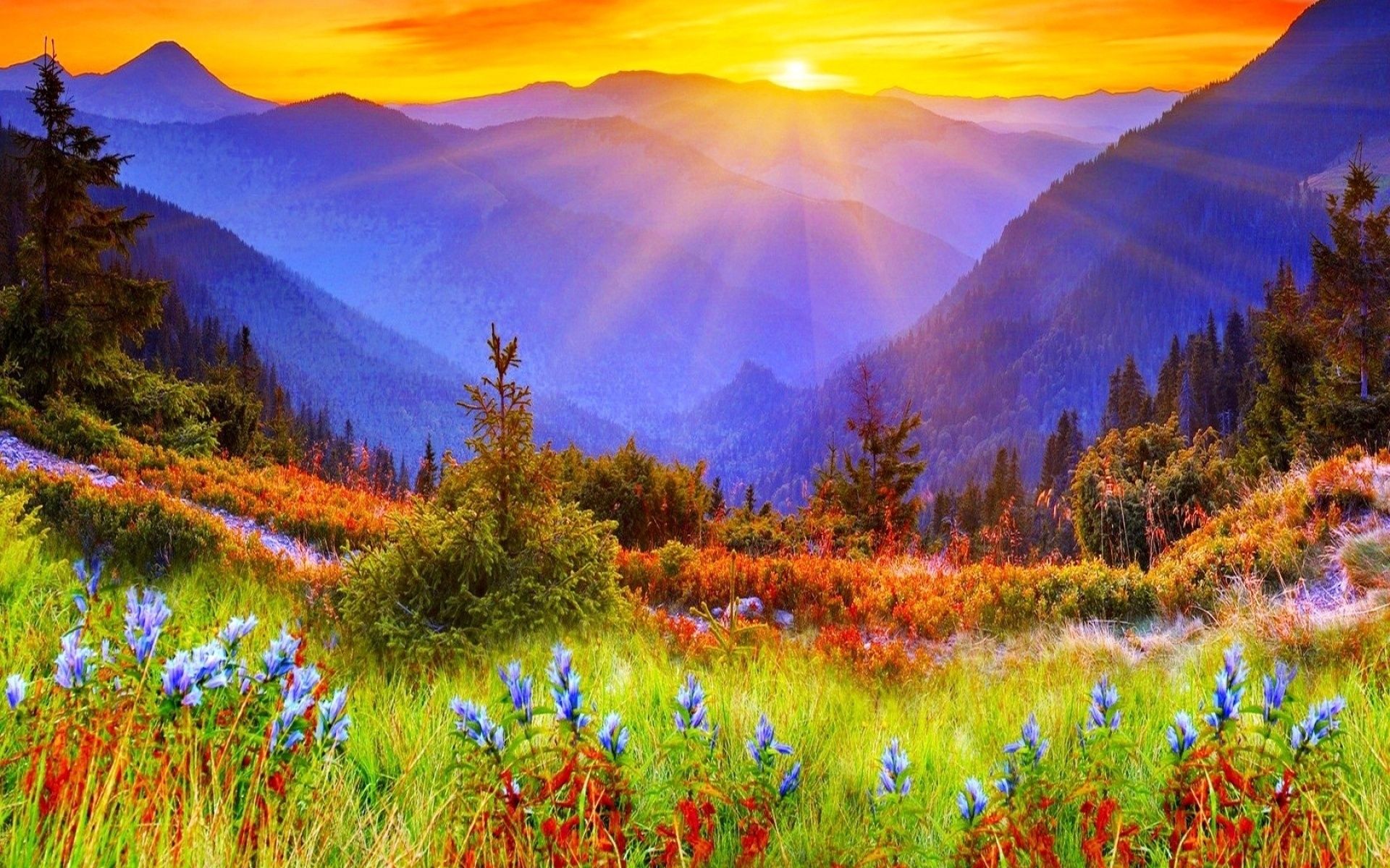 Spectacular Beautiful - Nature Sun Rise Background - 1920x1200 Wallpaper - teahub.io