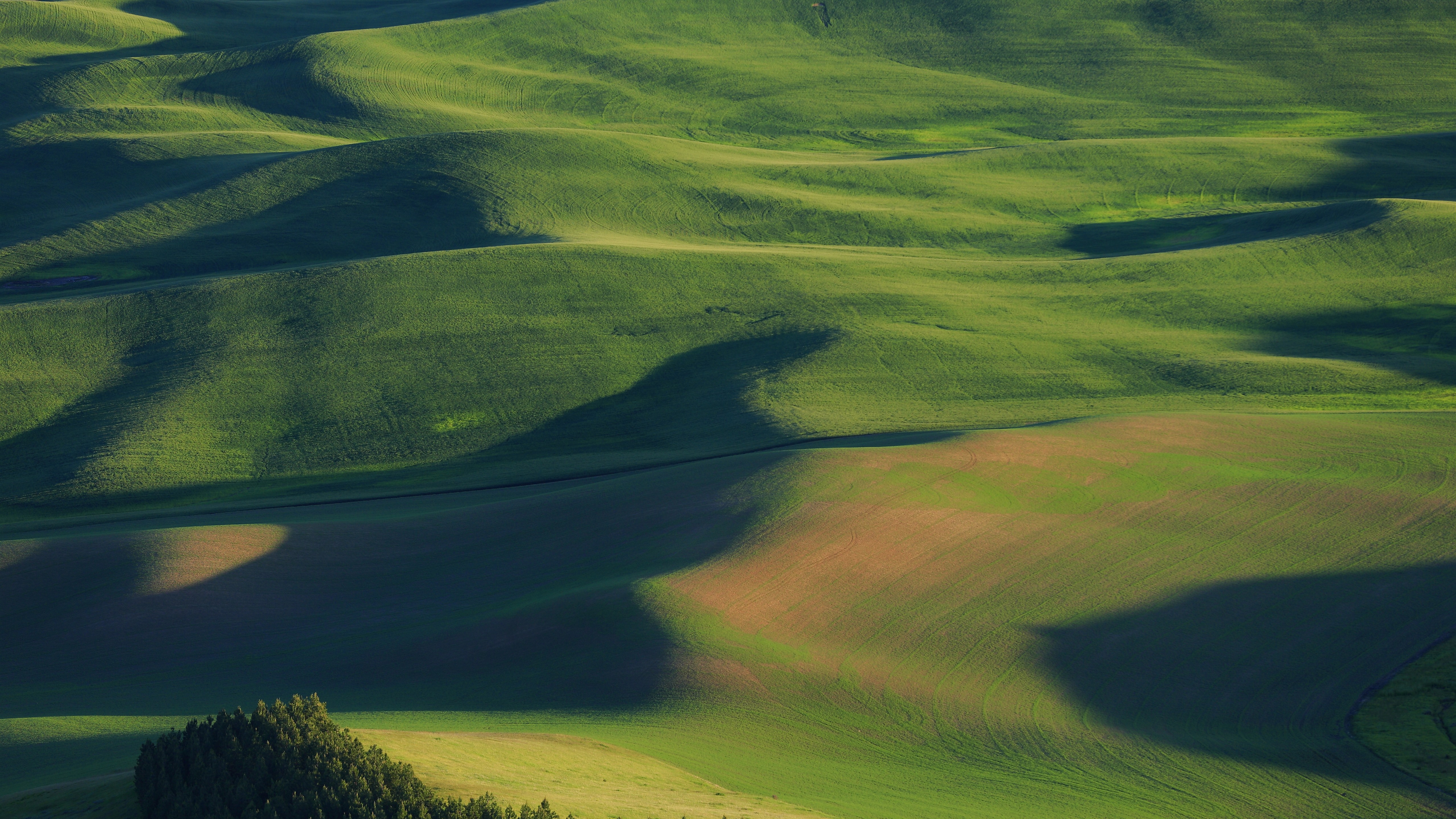 Wallpaper Usa, Palouse, Beautiful Wheat Fields, Green, - Aerial Photography - HD Wallpaper 