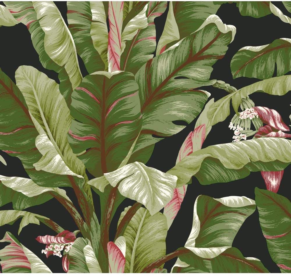 York Wallcoverings Banana Leaf - HD Wallpaper 