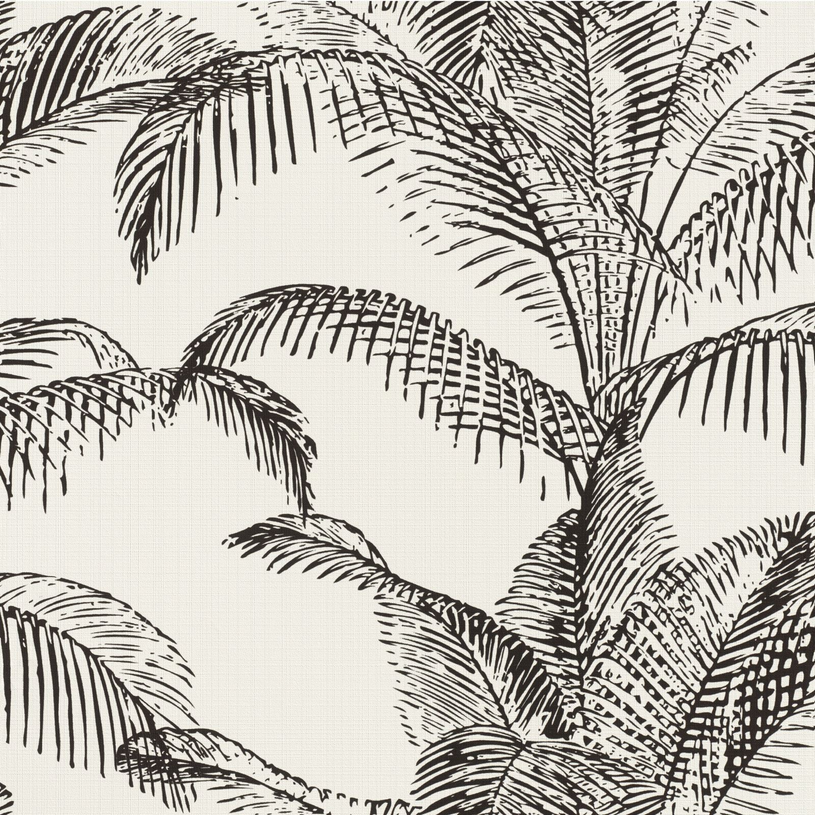 Palm Leaves Wallpaper Black And White - HD Wallpaper 