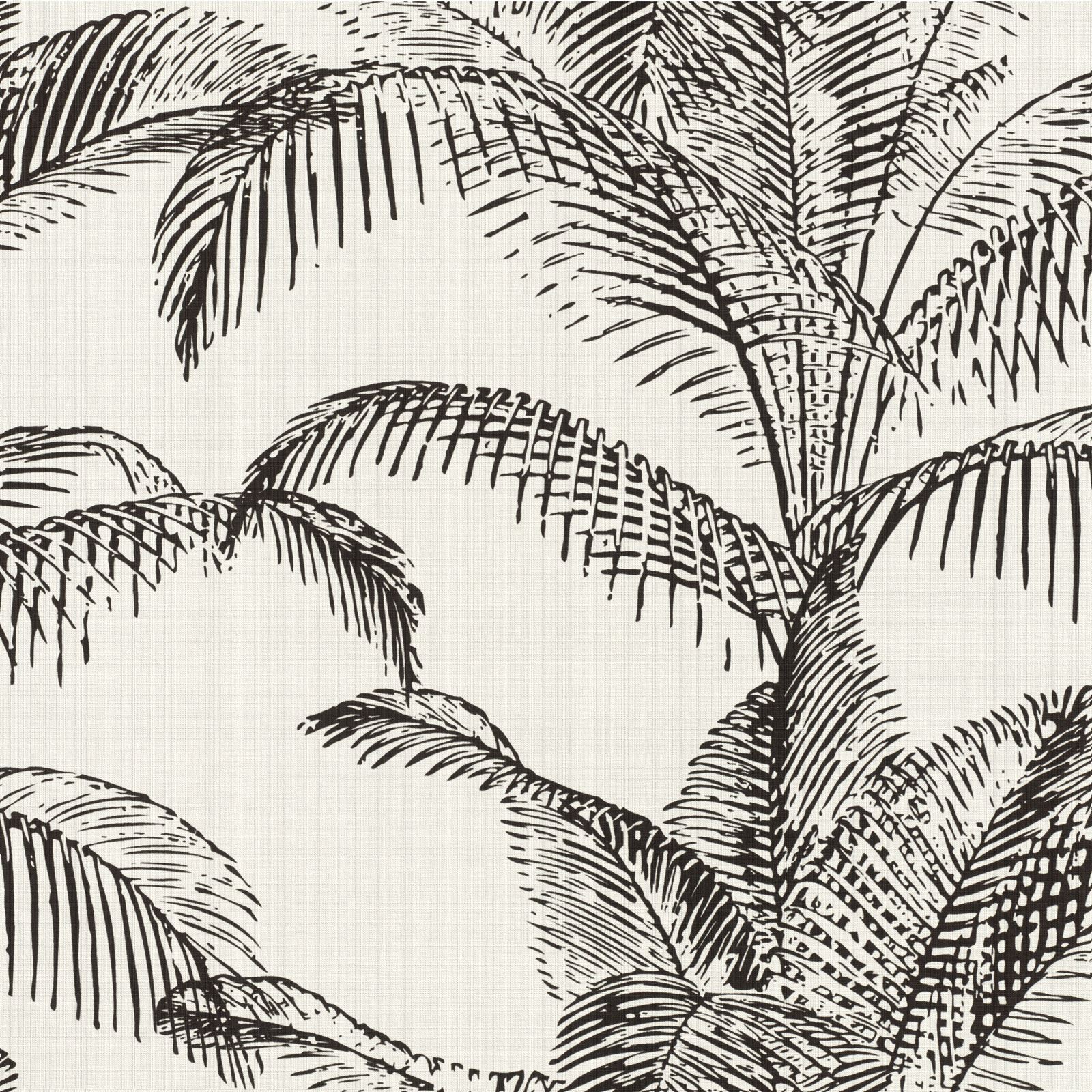 Palm Leaves Wallpaper Black And White - 1600x1600 Wallpaper - teahub.io