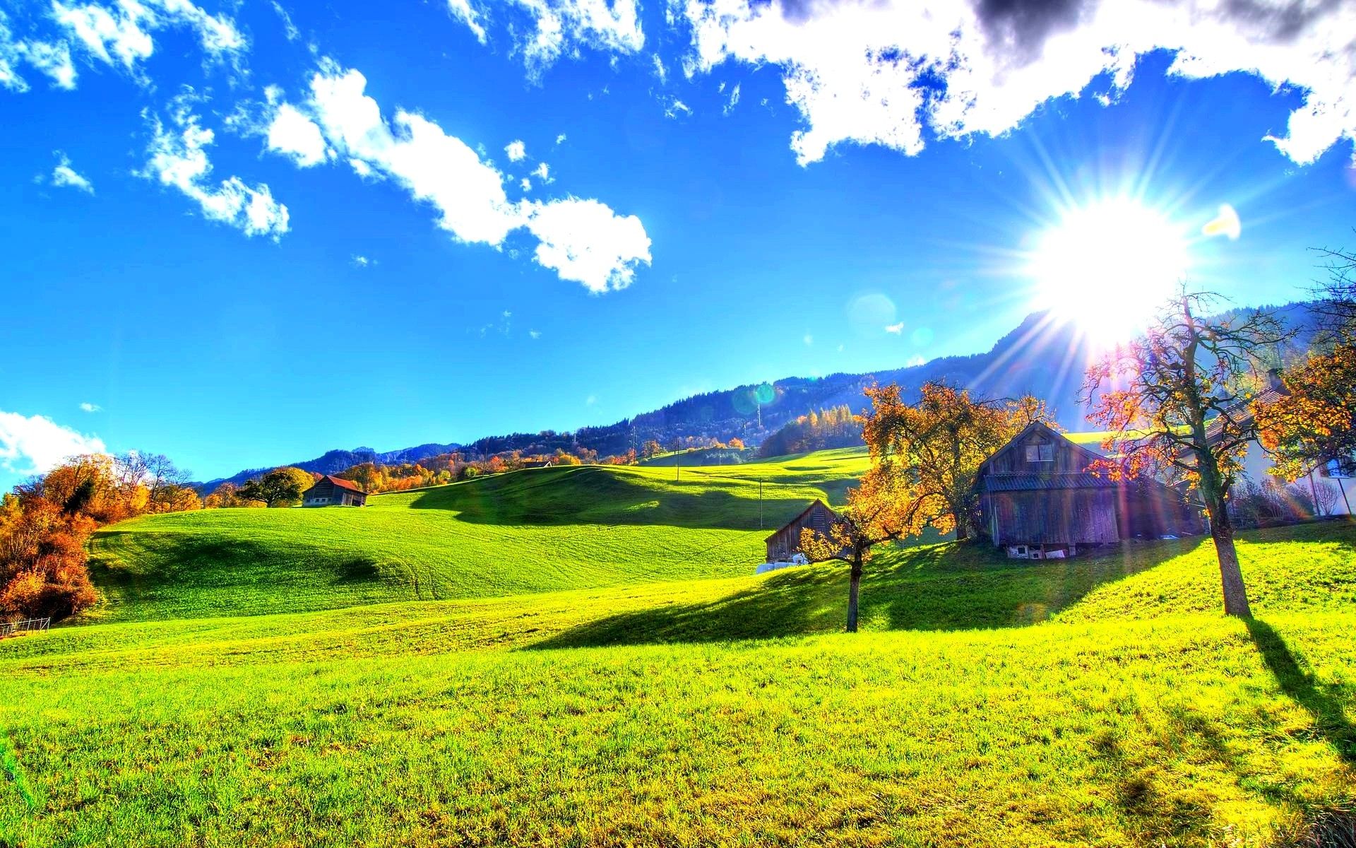 Sunny Day - HD Wallpaper 