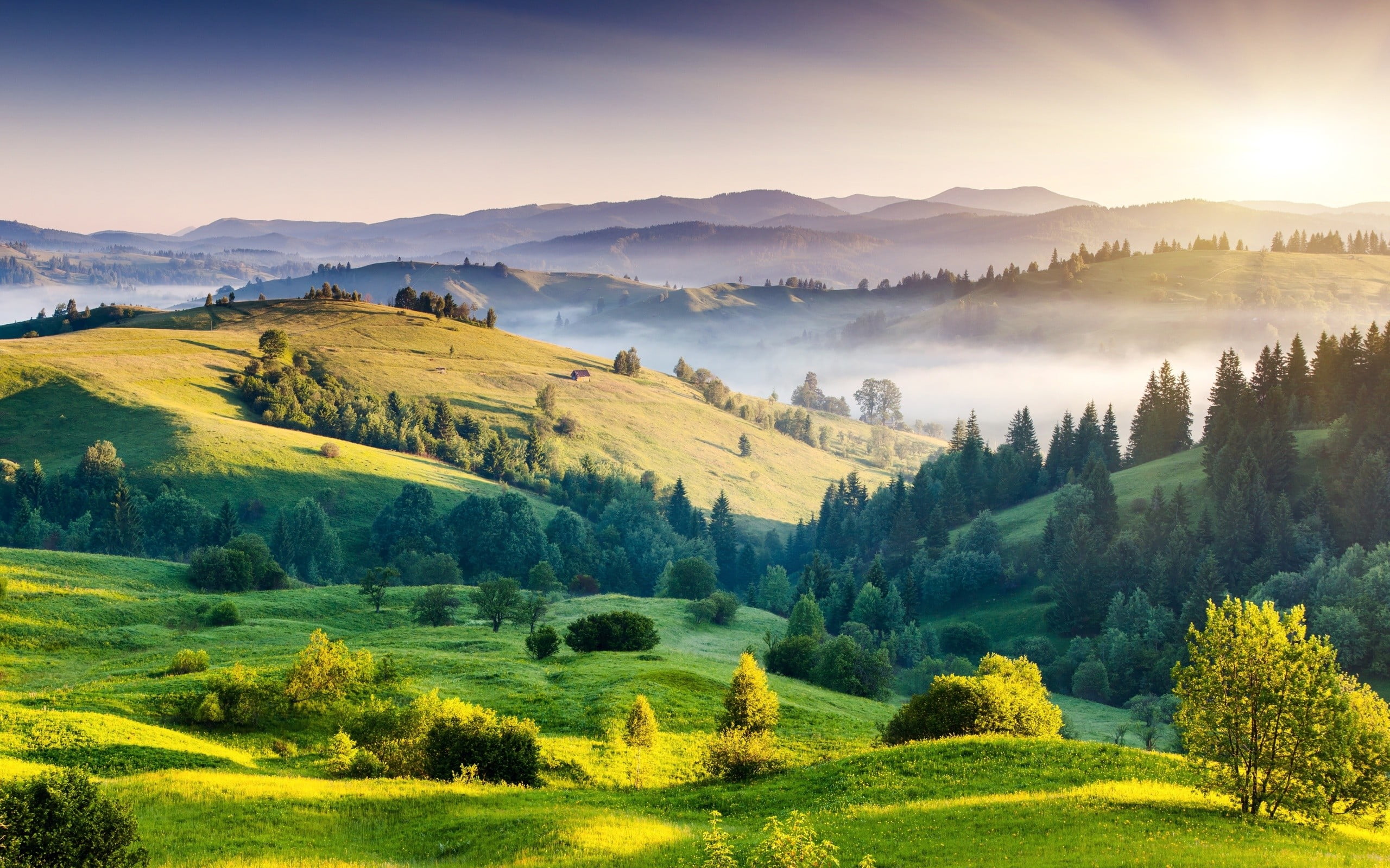Kodaikanal Hd - HD Wallpaper 