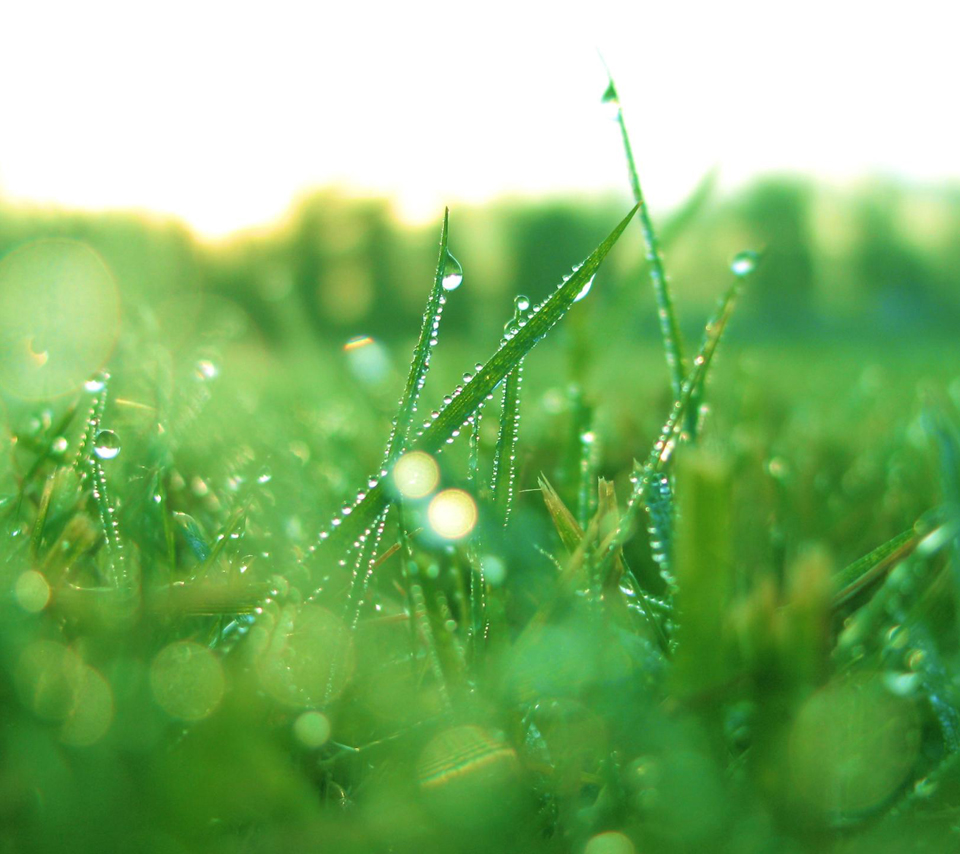 Dro#size Versions Of Standard Pc Windows Wallpapers - Mowing Grass When Wet Do Or Don T Nixa Lawn Service - HD Wallpaper 