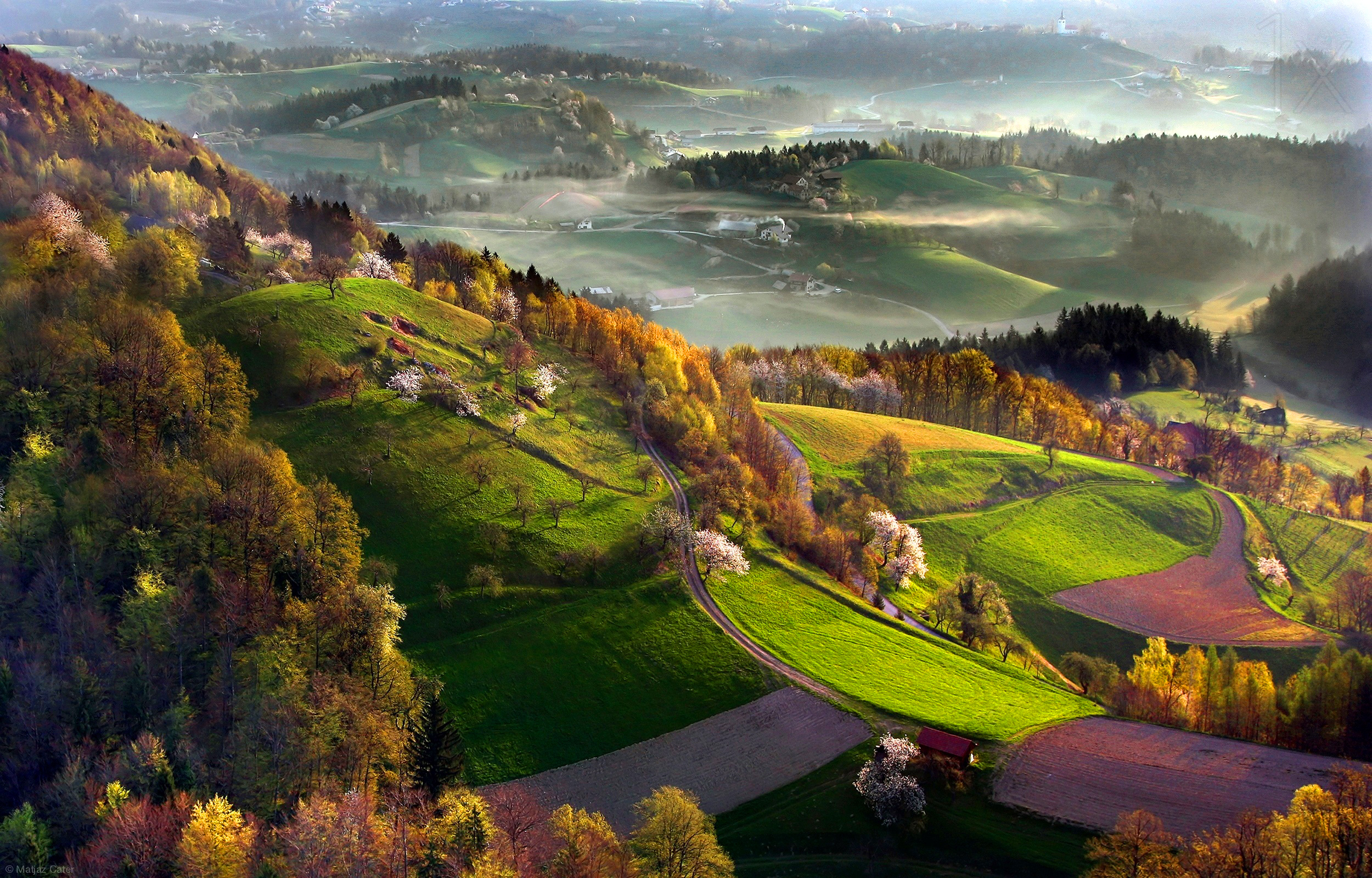 Hd Road With Houses - HD Wallpaper 