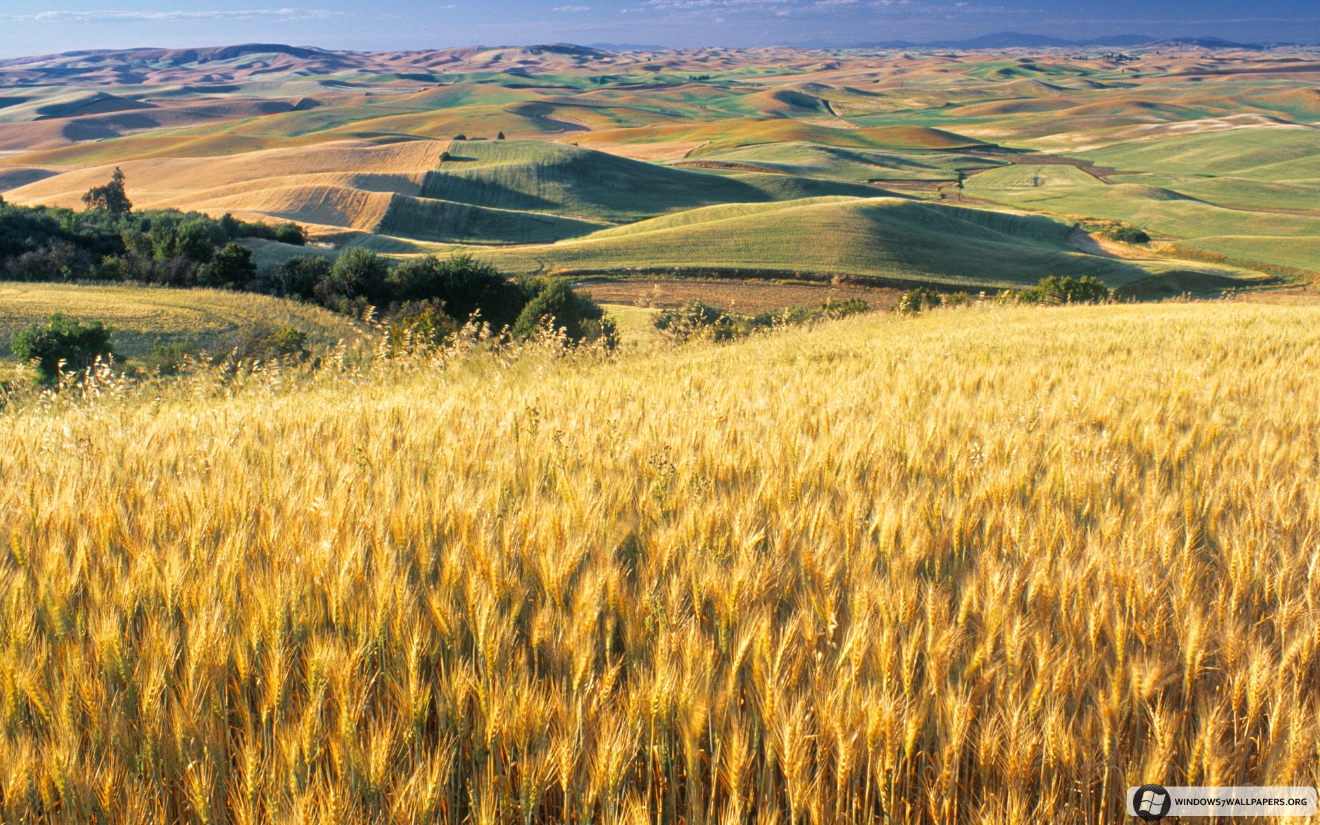 Windows 7 - HD Wallpaper 