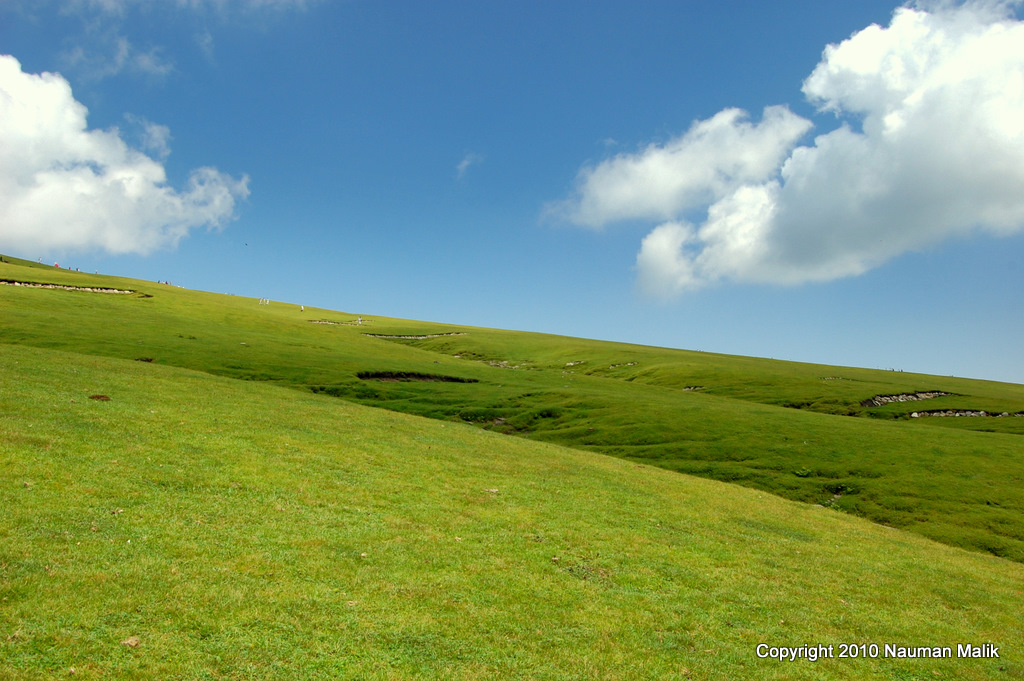 Window Xp Wallpaper 2011 - HD Wallpaper 