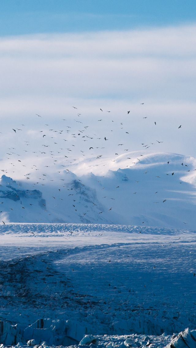 Snow, 4k, Hd Wallpaper, Ice, Winter - Ice Snow Wallpaper Hd - HD Wallpaper 