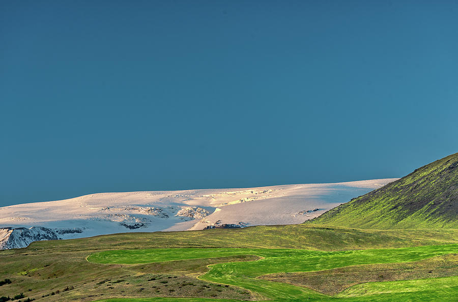 Grass - HD Wallpaper 