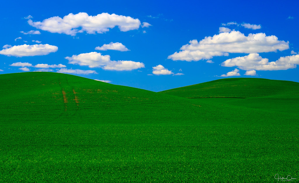 Grass - HD Wallpaper 