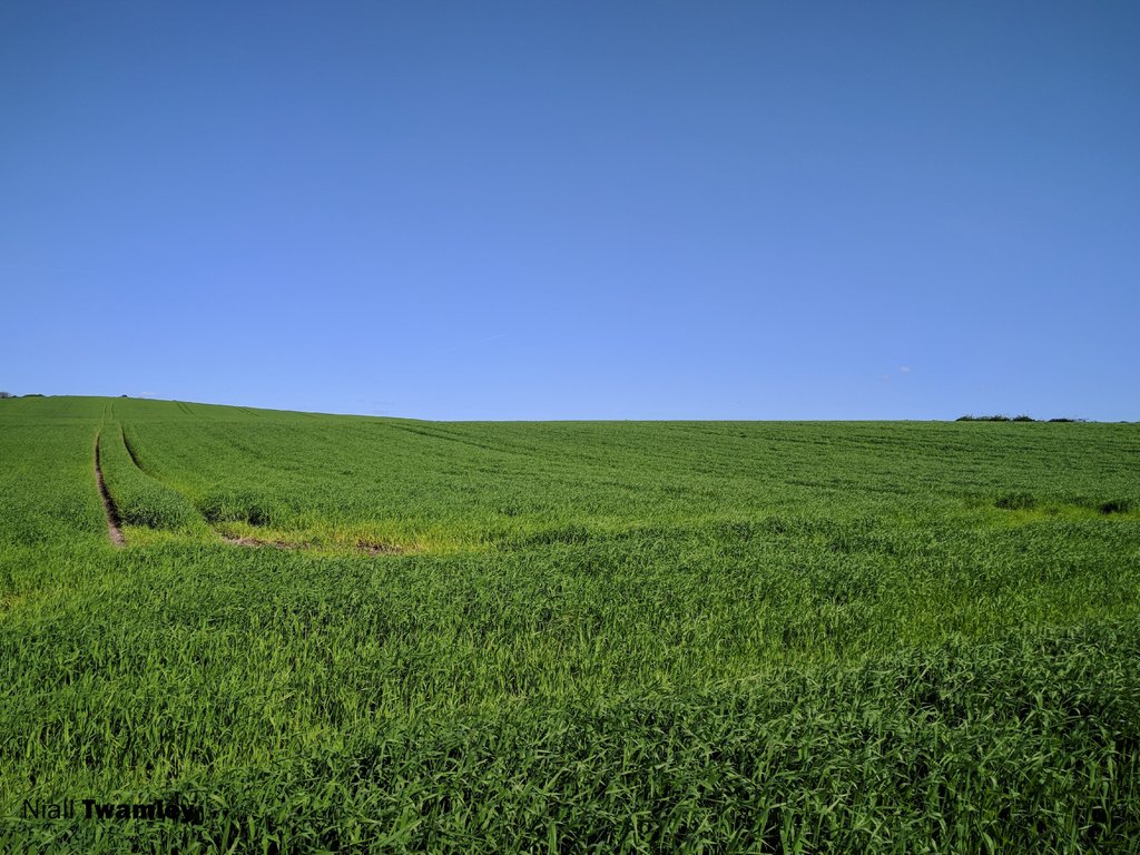 Field - HD Wallpaper 