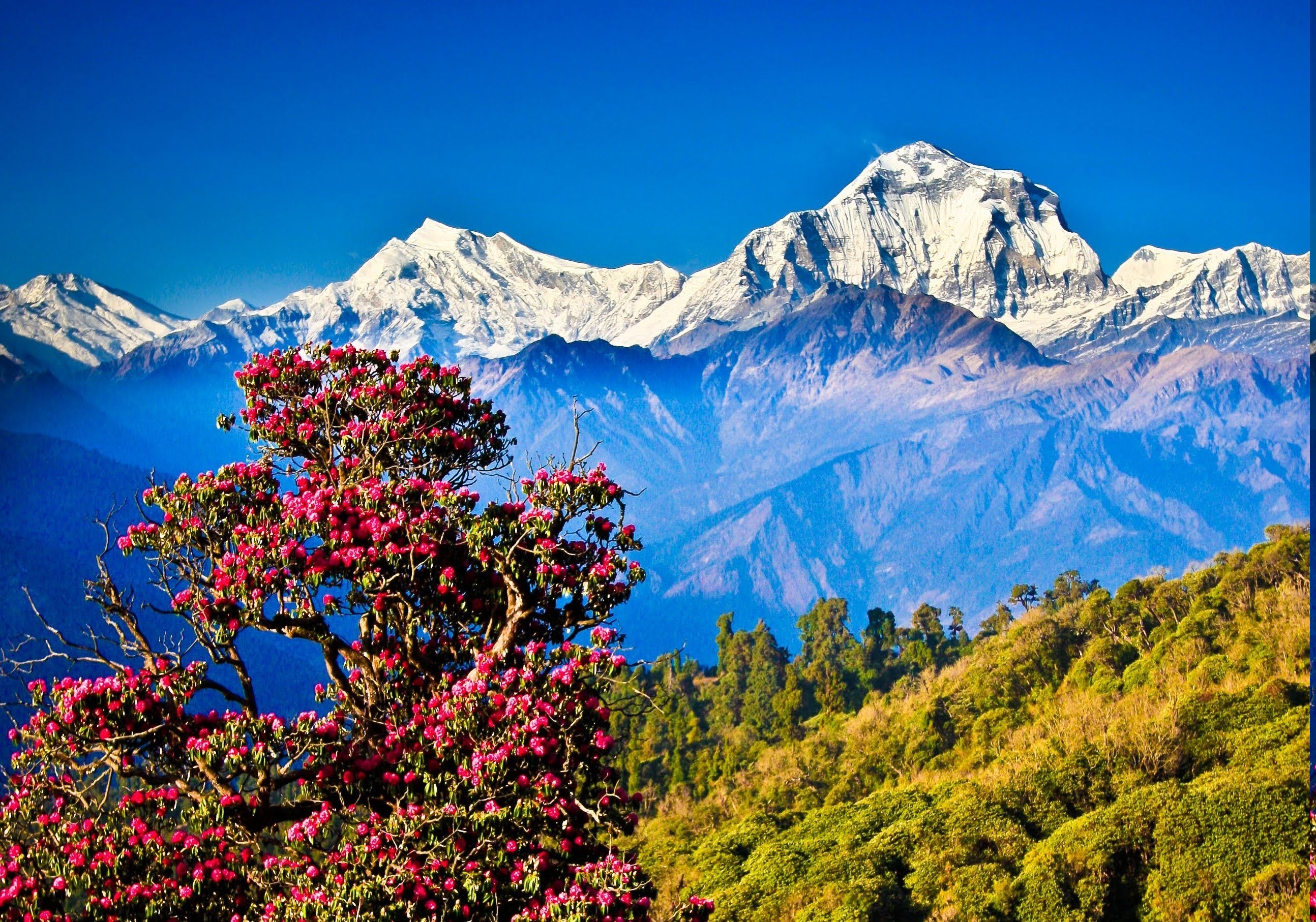 Himalaya Hd - HD Wallpaper 