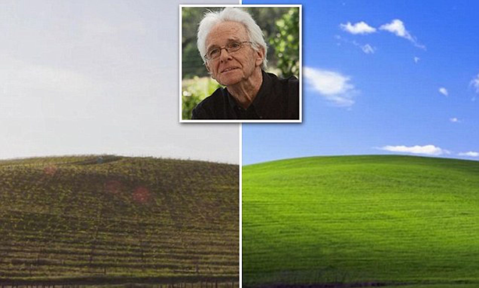 Hayden Valley Windows Xp - HD Wallpaper 