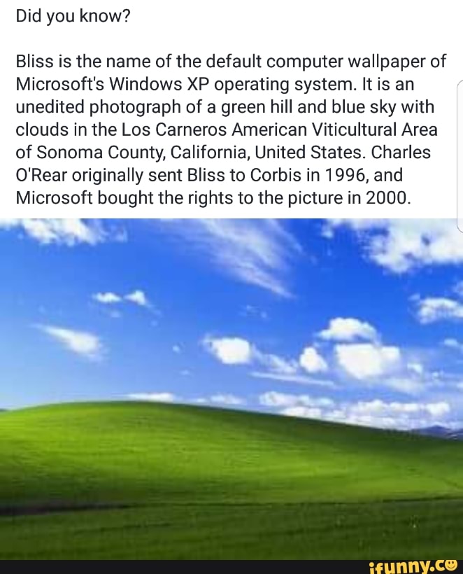 Grass - HD Wallpaper 