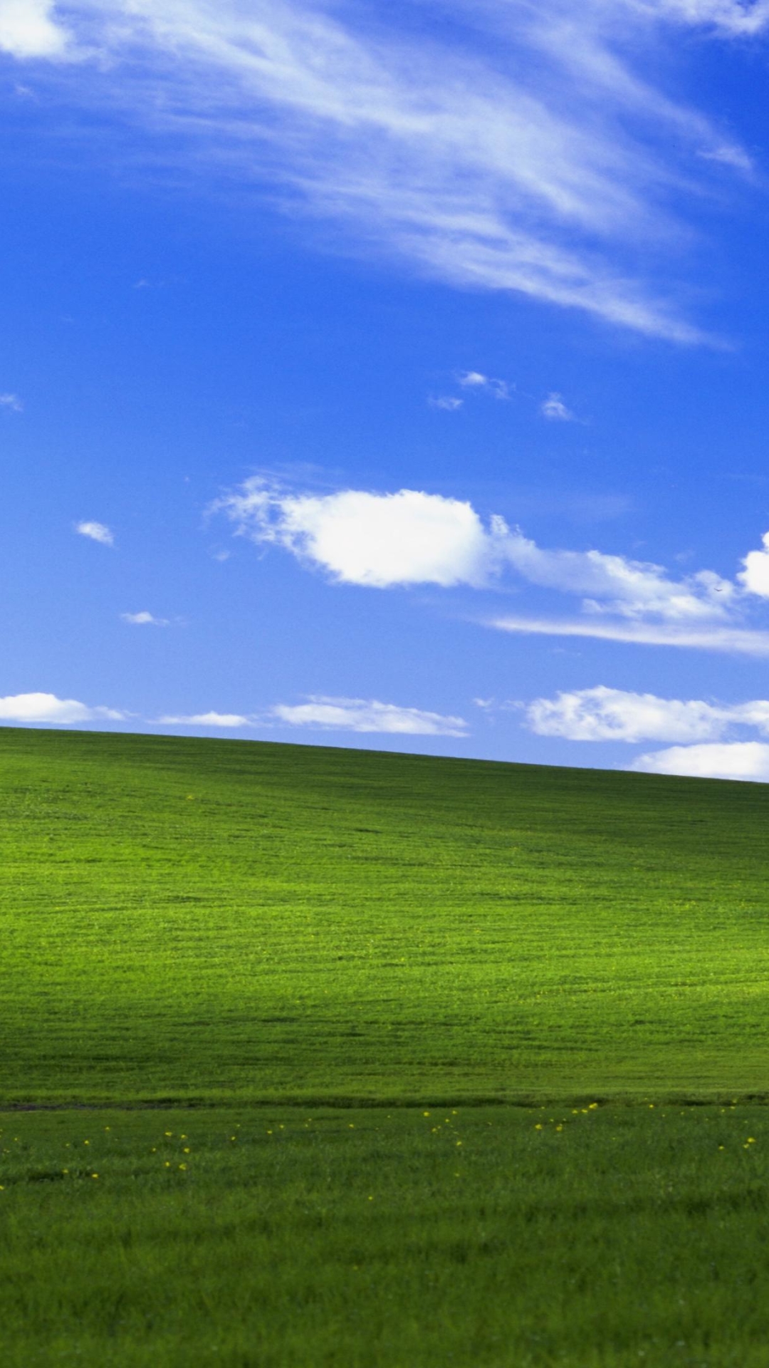 Windows Xp Wallpaper 4 3 - HD Wallpaper 