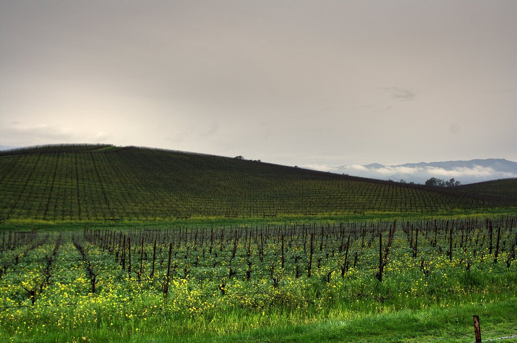 Windows Xp Blank Screen - Windows Xp Wallpaper Today - HD Wallpaper 