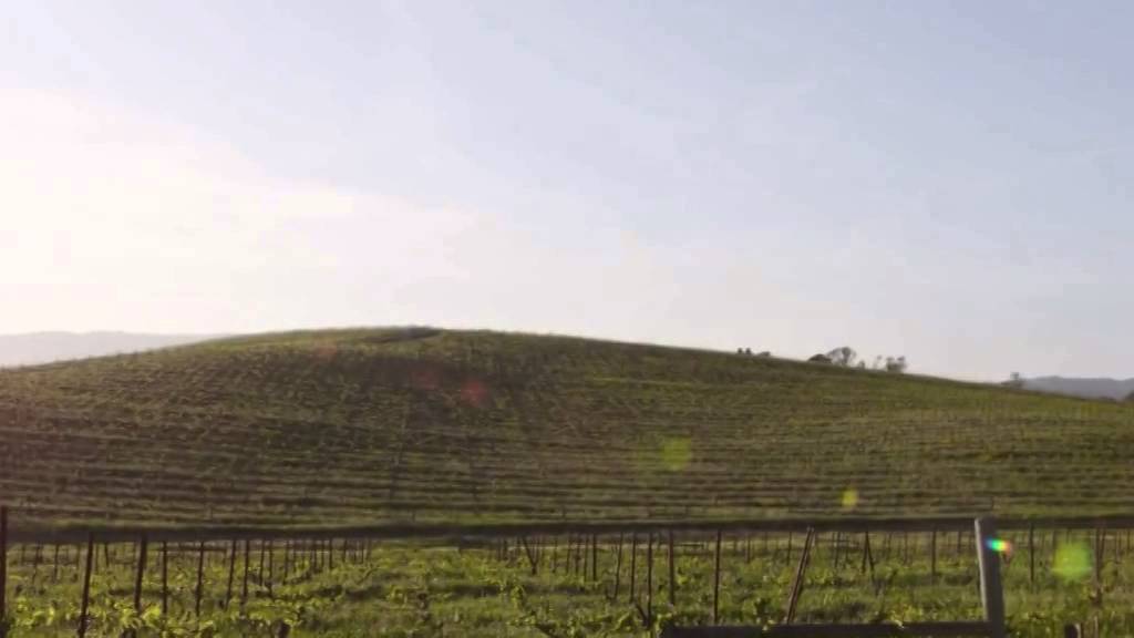 Windows Xp Bliss Wallpaper Now - Field - HD Wallpaper 