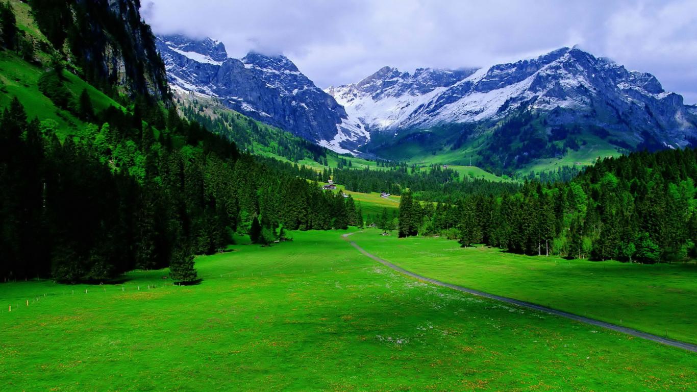 Beautiful Trees & Alps Nature Mountain Wallpaper - Alp Mountains Wallpaper Hd - HD Wallpaper 