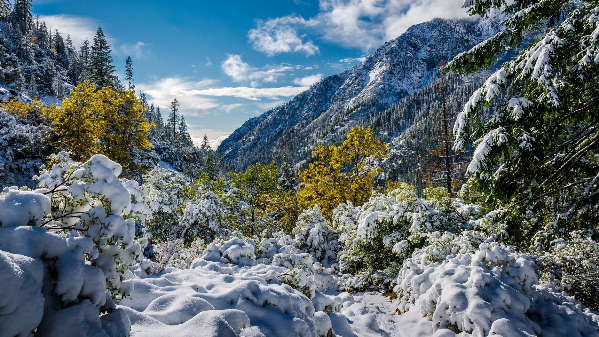 Snow Winter Landscape Nature Live Wallpaper Android - Trinity Alps - HD Wallpaper 