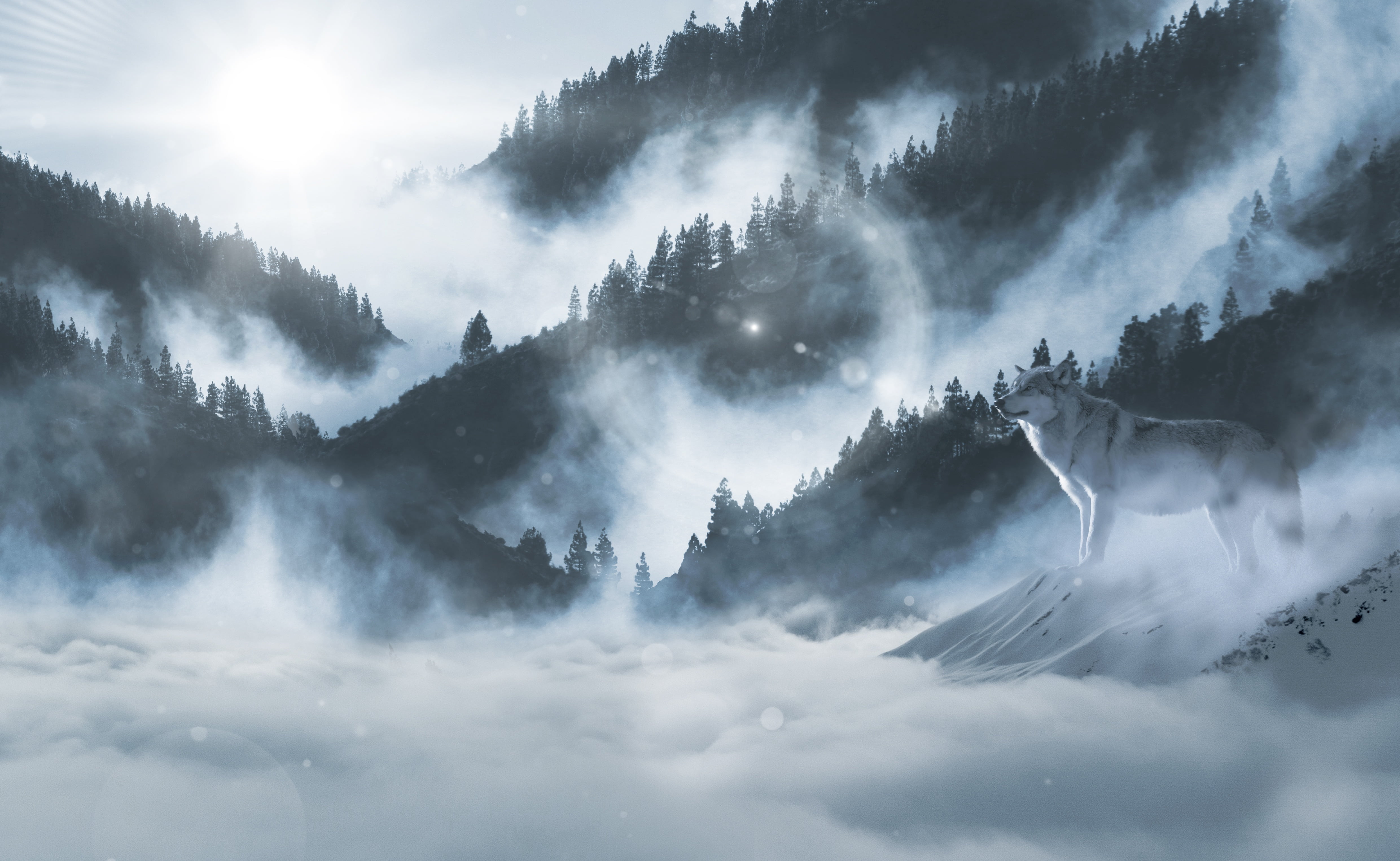 Misty Mountains Wallpaper Hd - HD Wallpaper 