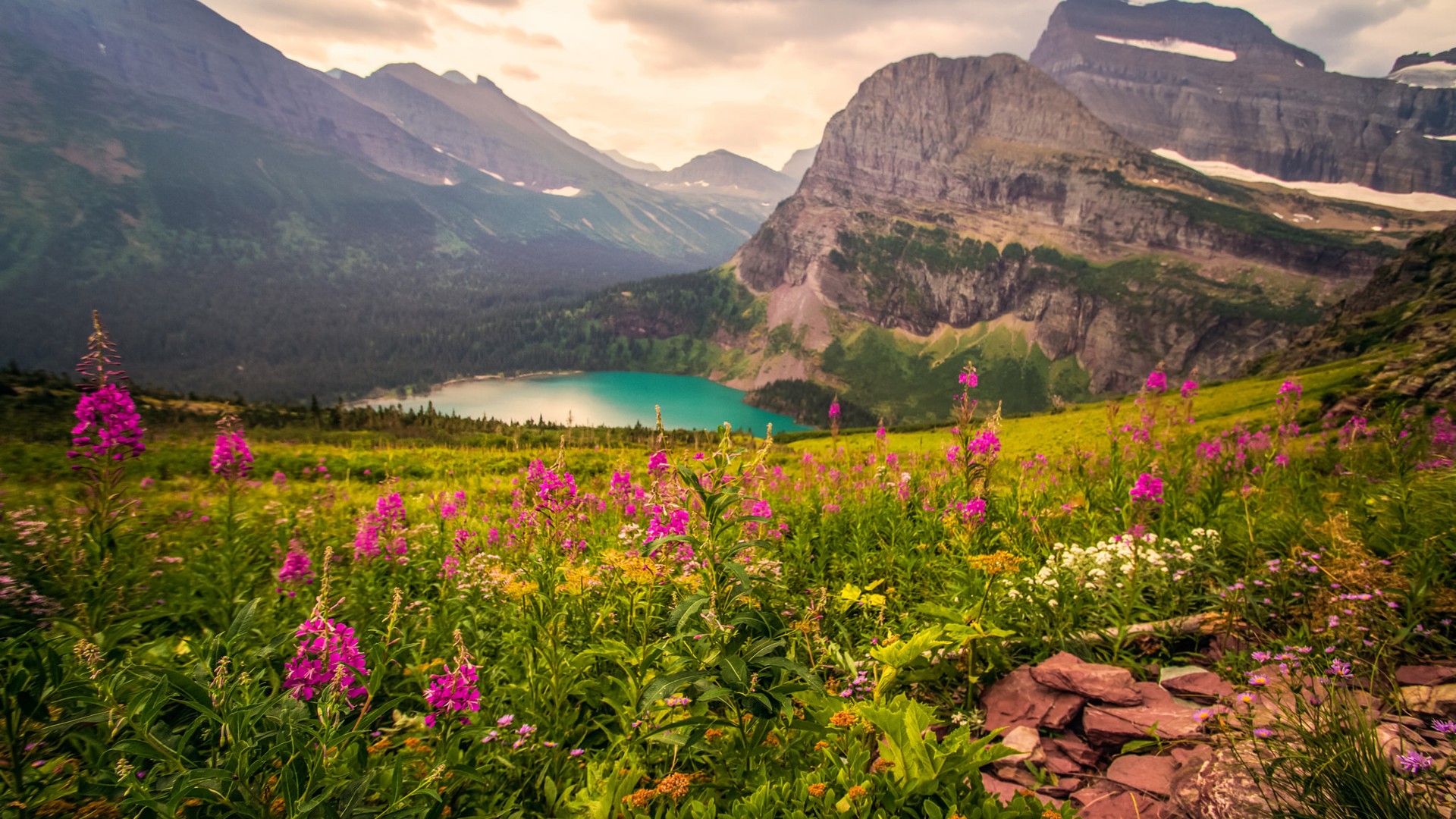 Mountains And Flowers Hd - HD Wallpaper 
