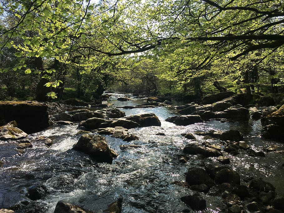 Water, Nature, Outdoors, Stream, Creek, Countryside, - Tributary - HD Wallpaper 
