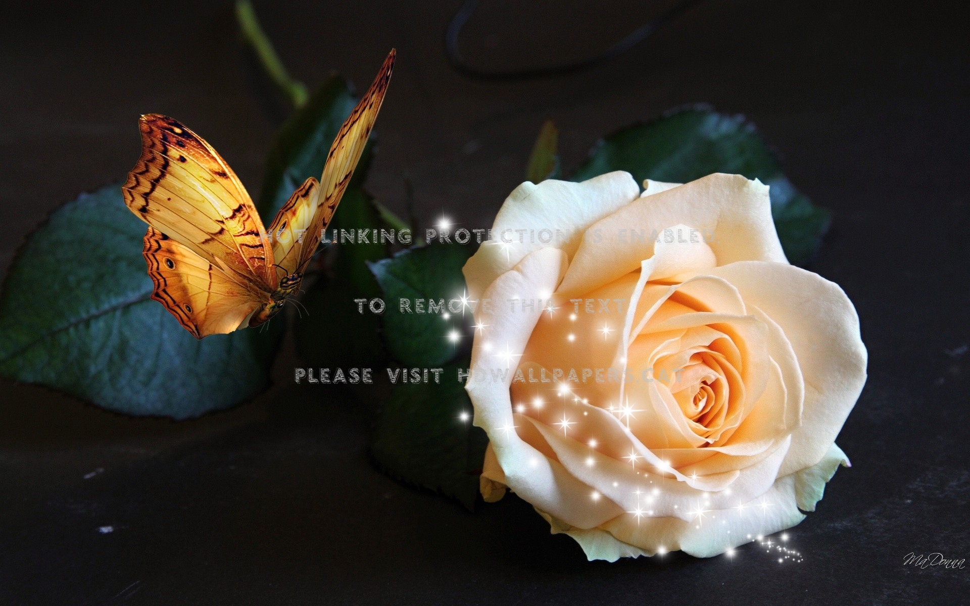 Peach Rose Gold Butterfly Flowers Shine - Dream Catcher - Spirit Of The Butterfly - HD Wallpaper 