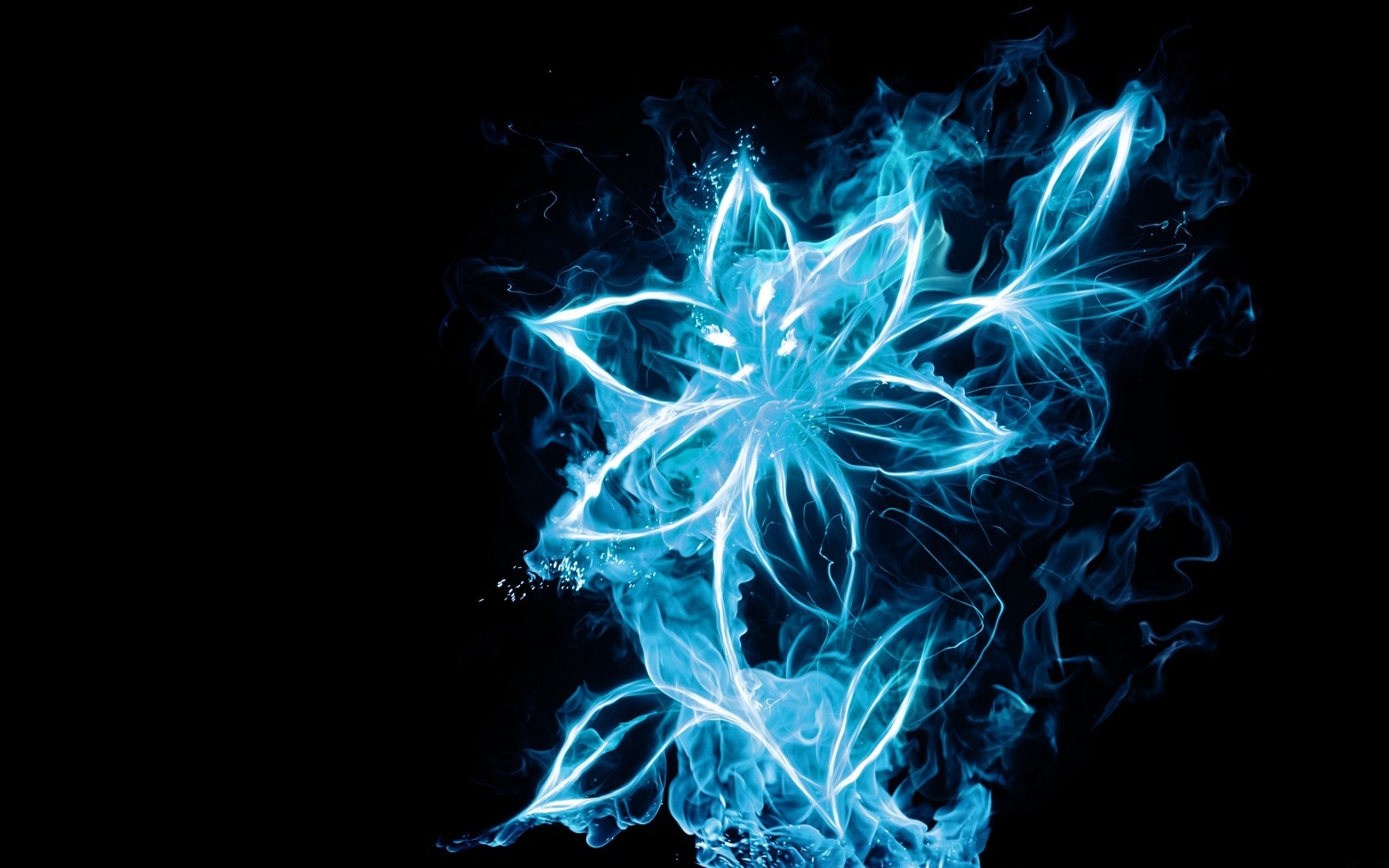 Blue Fire Flower Wallpaper Hd 
 Data-src - Blue Flower Black Background - HD Wallpaper 