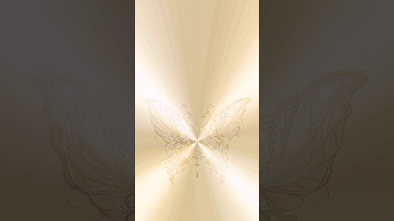 Ceiling - HD Wallpaper 