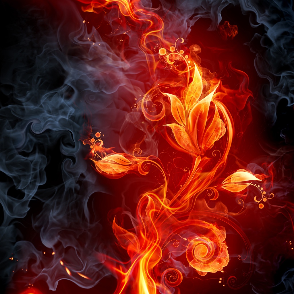 Fire Flower - HD Wallpaper 