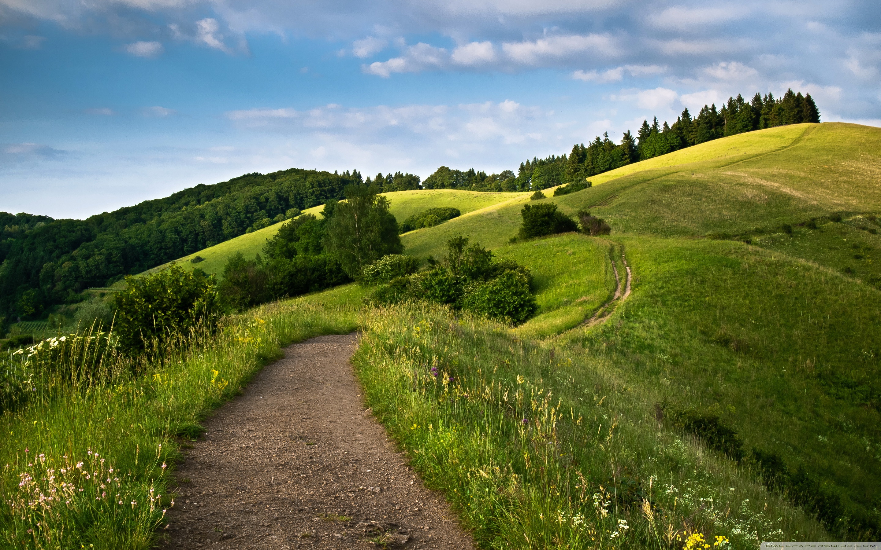 Campo Fondo De Pantalla - HD Wallpaper 