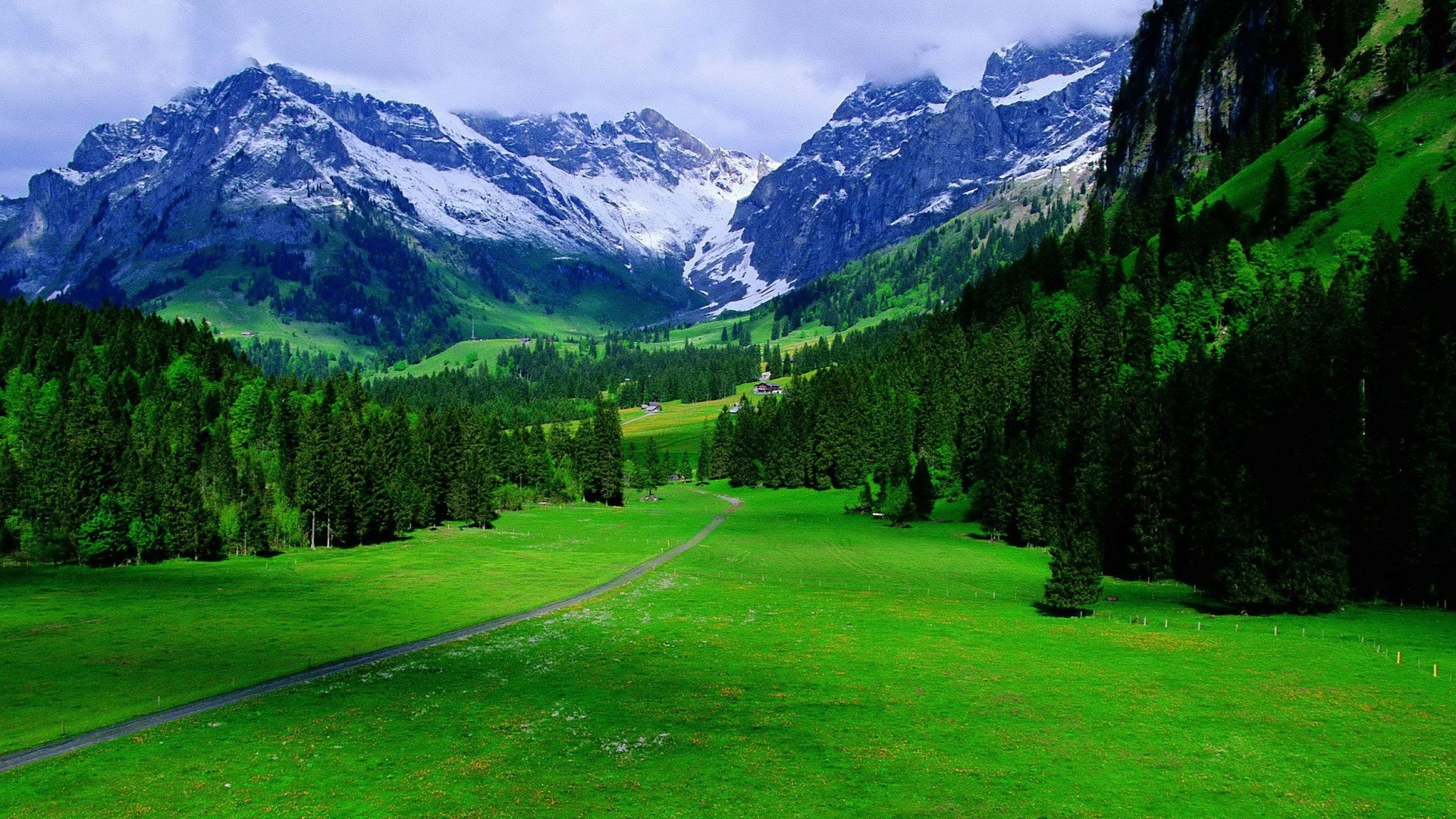 Alps Mountain Background Widescreen Wallpaper Desktop - Swiss Alps - HD Wallpaper 