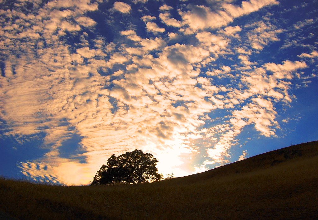 Sunlight - HD Wallpaper 