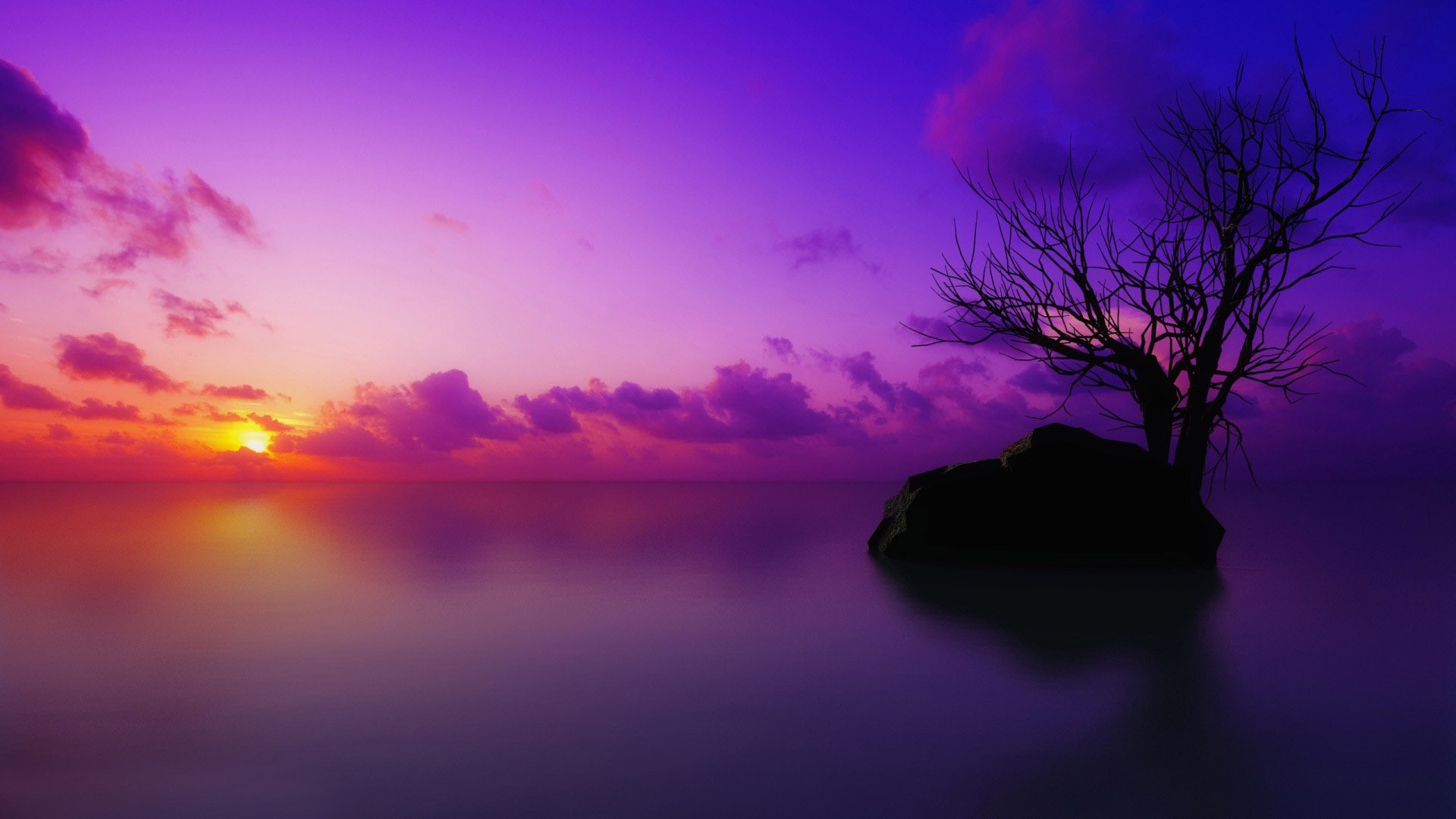 Purple Background Free Download Desktop Wallpaper Purple - Purple Sunset Wallpaper Hd - HD Wallpaper 