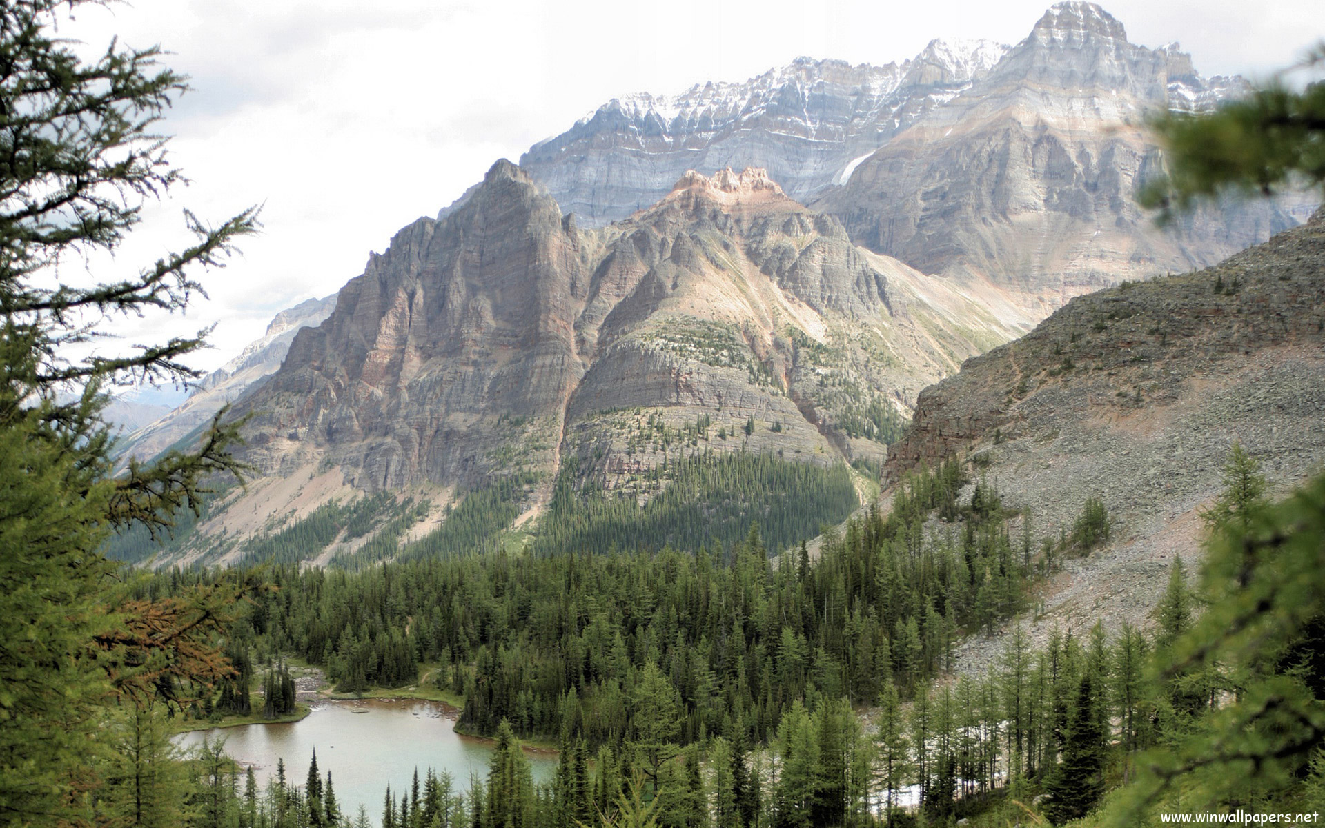 Green Hills - Lake O'hara - HD Wallpaper 