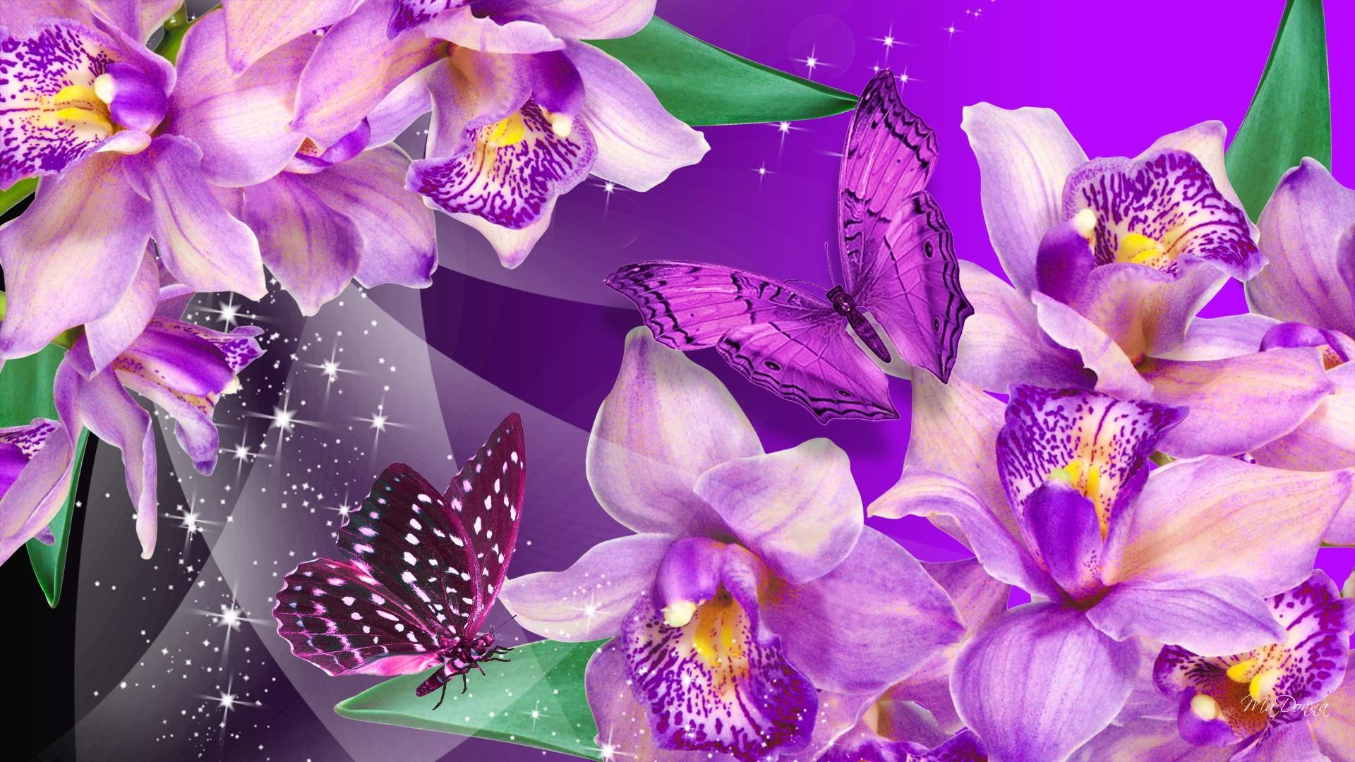 Flower Butterfly Purple Background - HD Wallpaper 
