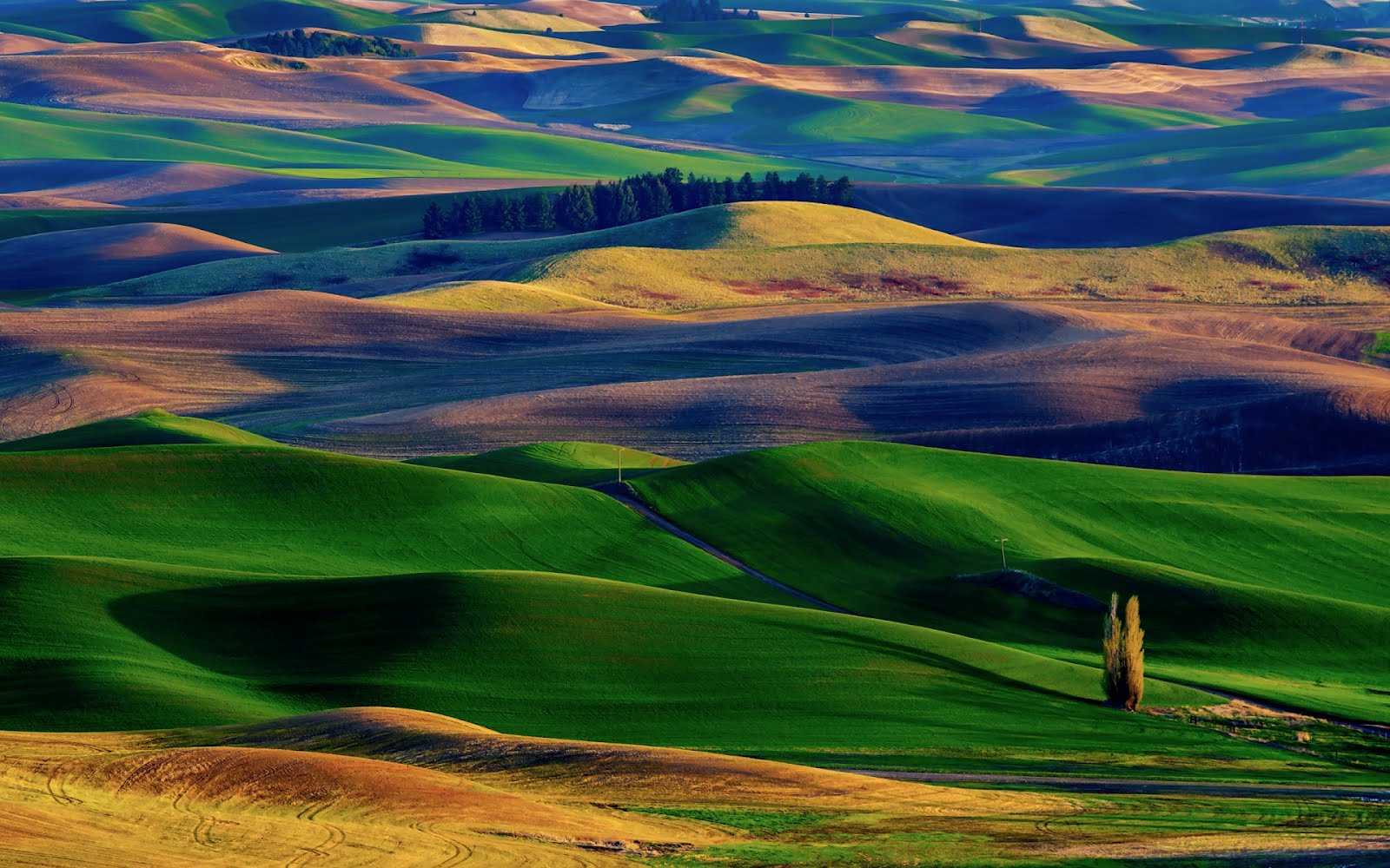 Palouse Valley - HD Wallpaper 