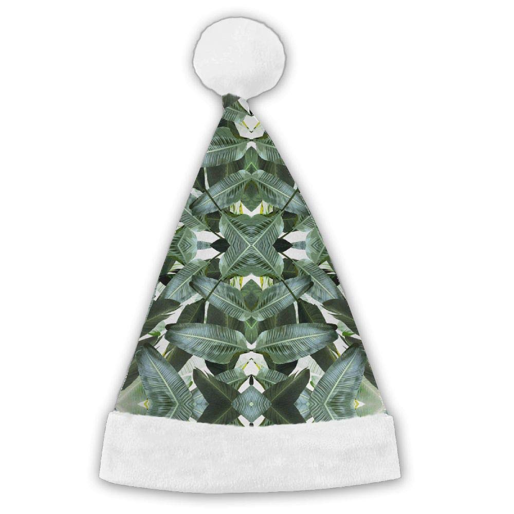 Christmas Tree - HD Wallpaper 