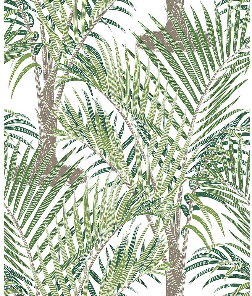 Carta Da Parati Jungle - HD Wallpaper 